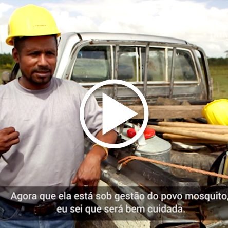 Costa do Mosquito: administração florestal