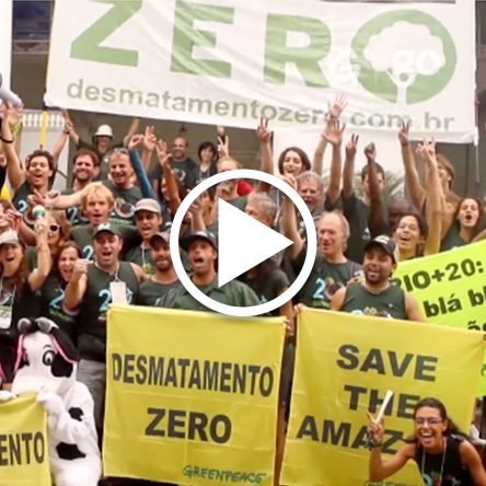 Desmatamento Zero: como?