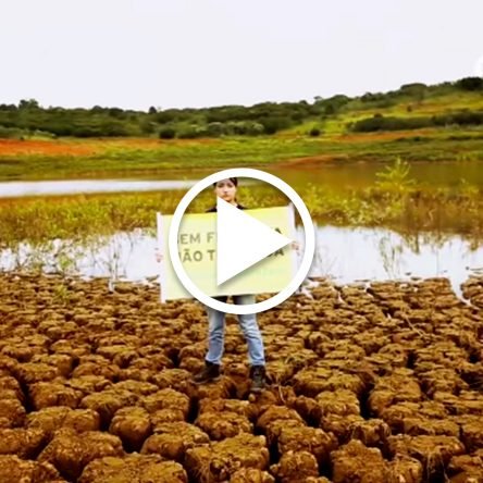 Desmatamento e falta d’água: Represa Paraibuna