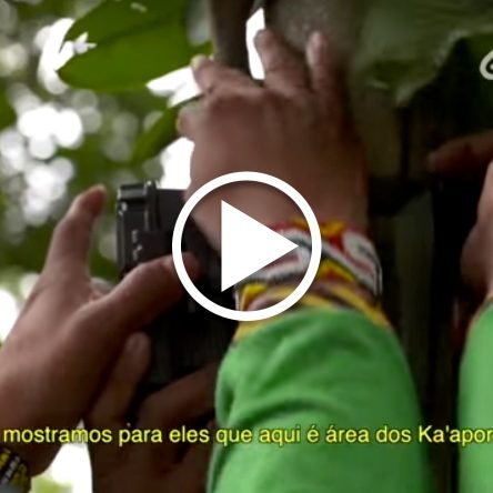 Ka’apor usam a tecnologia contra o desmatamento