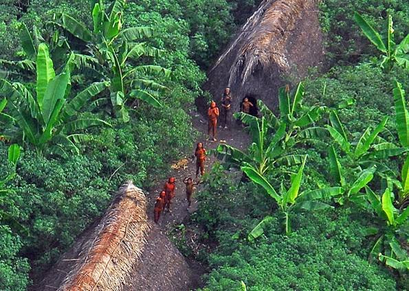 Amazônia- um presente dos povos indígenas.