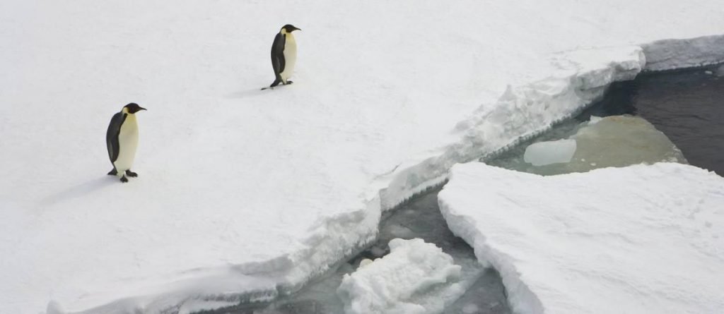 Quem nega as mudanças climáticas está enxugando gelo