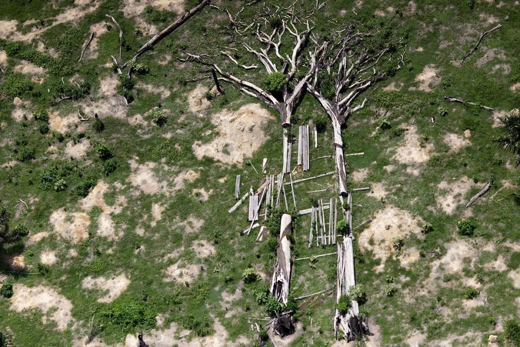 Desmatamento cresce na Amazônia