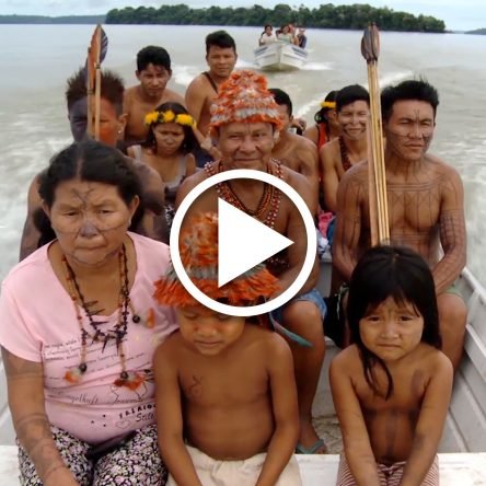 A iniciativa Munduruku