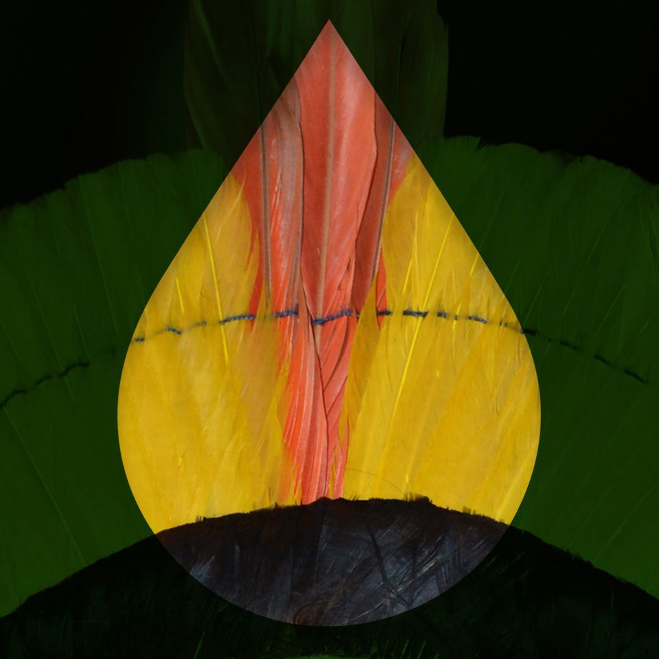O clamor do Xingu ecoa na Sapucaí