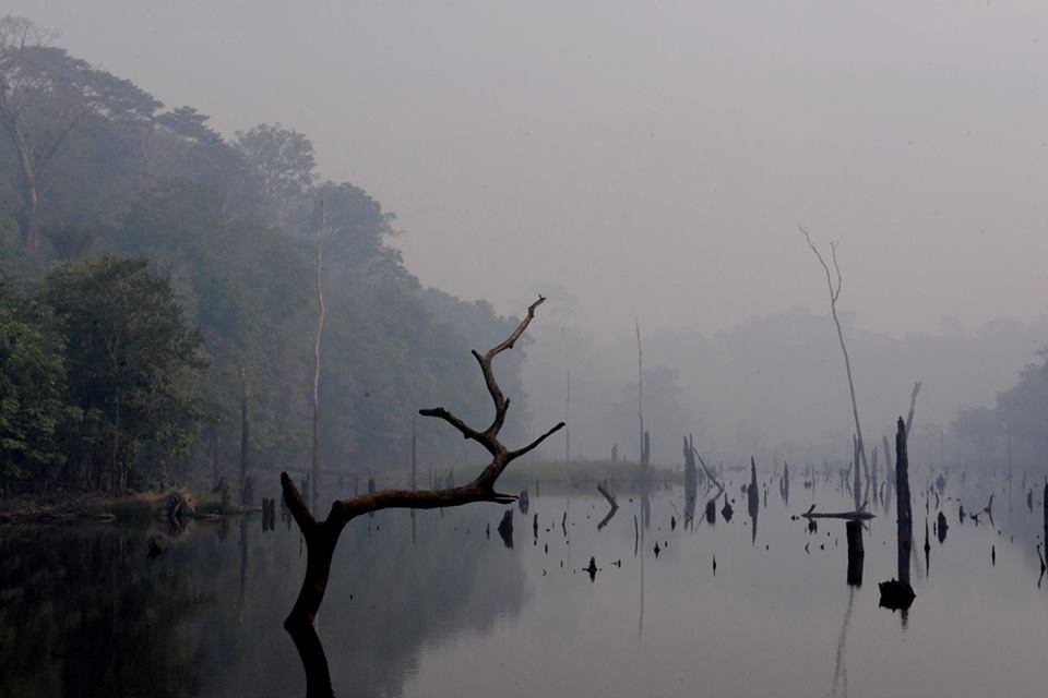 Na Amazônia, até áreas alagadas estão vulneráveis à incêndios
