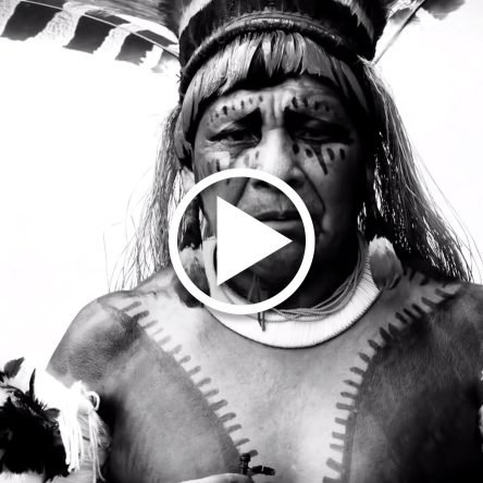 Xingu, o clamor que vem da floresta (versão longa)