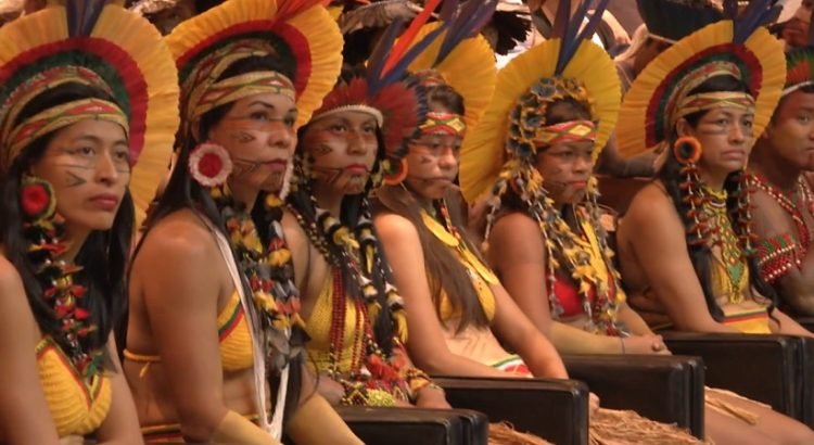 UFMG forma 30 novos professores indígenas