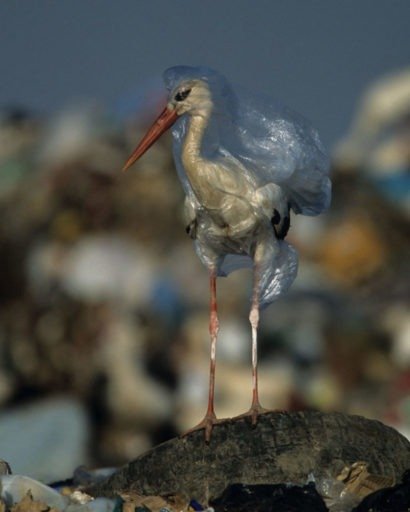 União Europeia contra o plástico