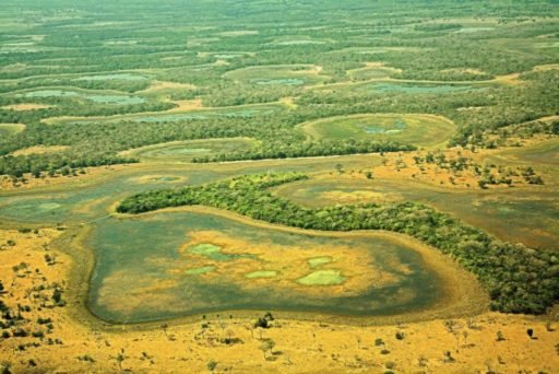O Pantanal está com sede