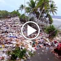 ONU: o plástico está cobrindo e destruindo nosso planeta