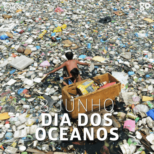 Dia de lembrar que plastificamos os oceanos