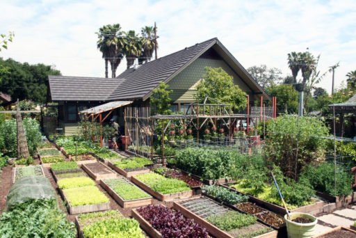 Faça de sua casa uma fazenda orgânica
