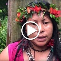 Preservação da Amazônia, dos animais e dos rios – “Em nome de quê?”