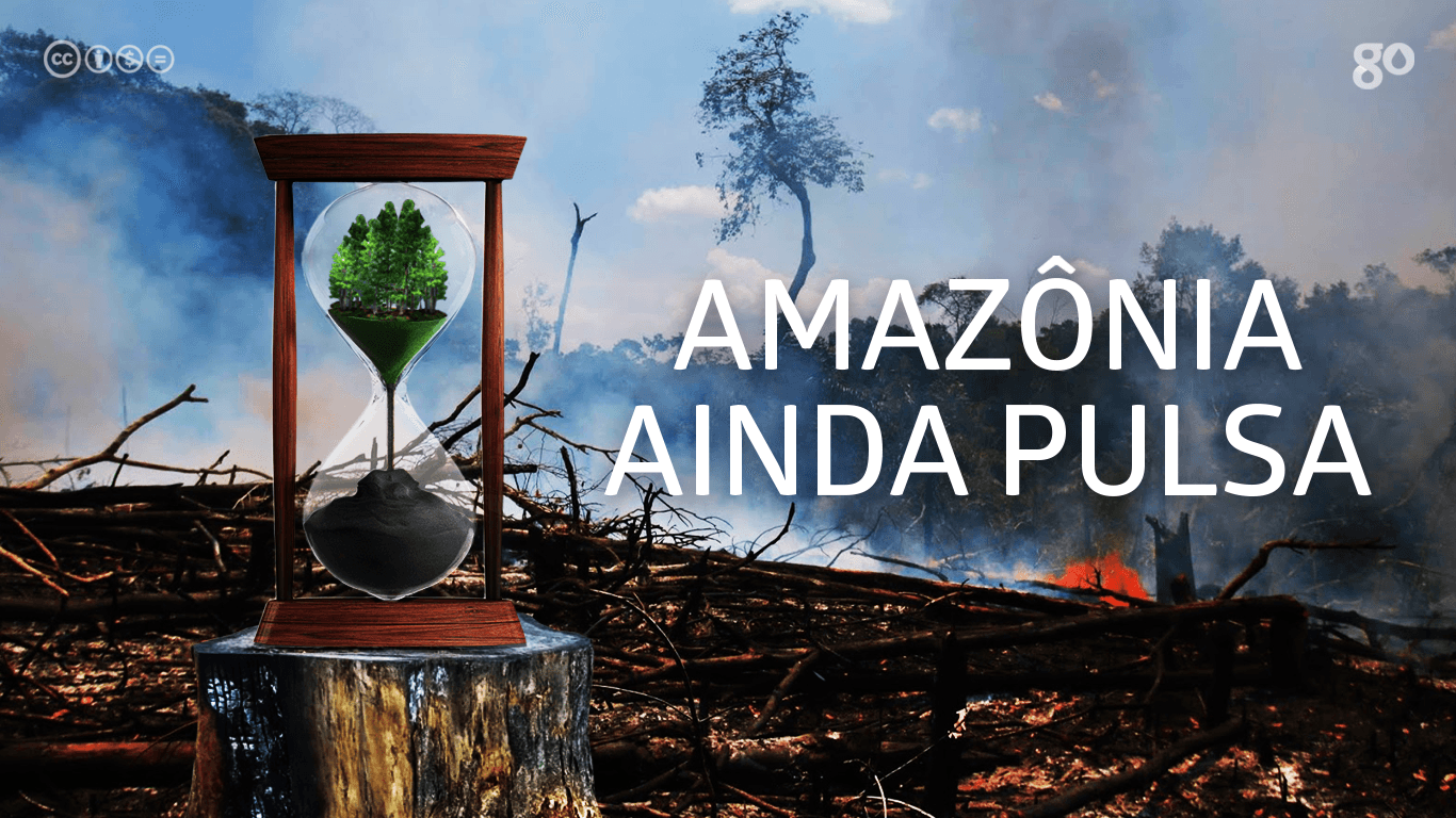 A Amazônia ainda pulsa