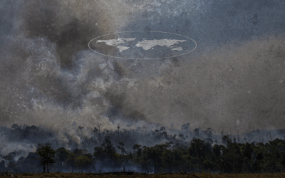 A Constituição da Terra plana