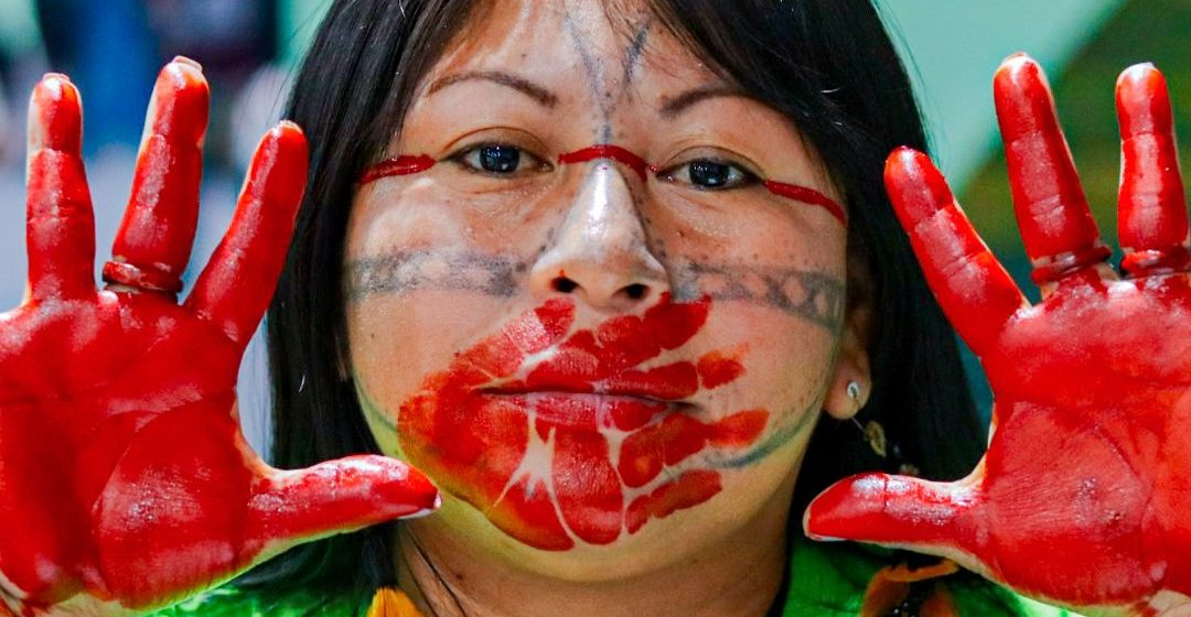 A floresta no limite