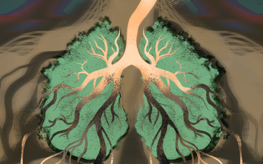 Os perigos da retórica petroleira