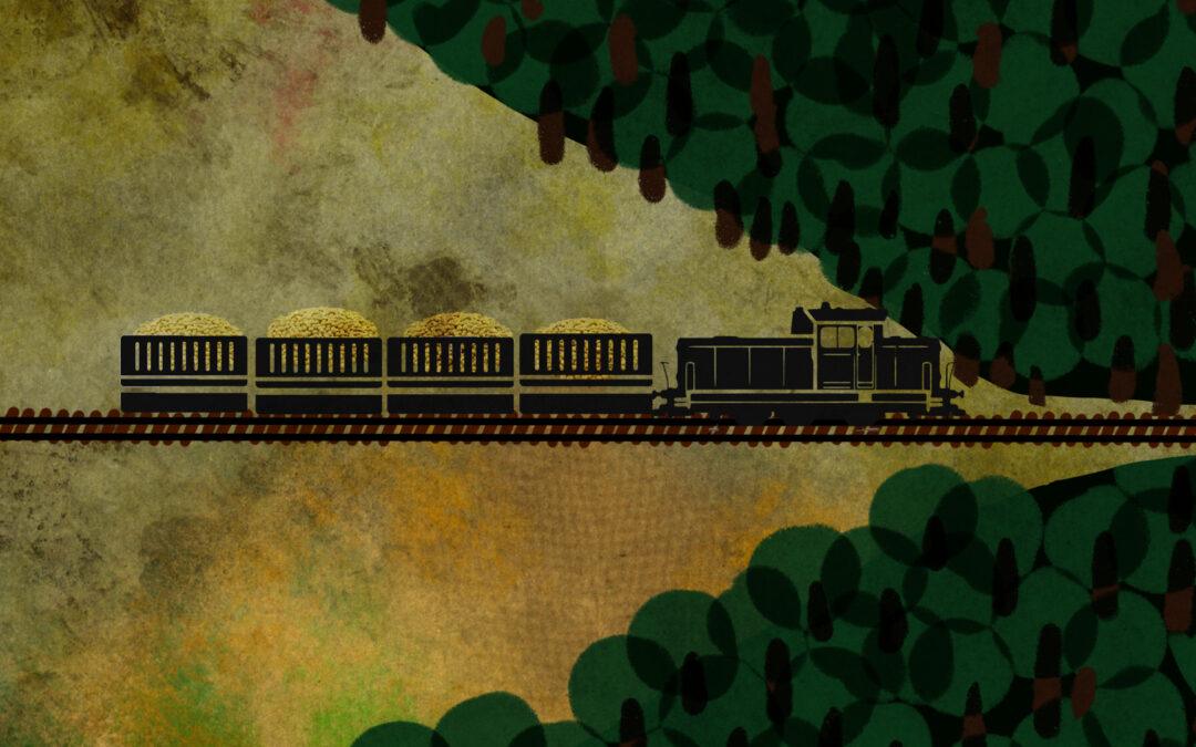 Ferrogrão é atalho para o colapso