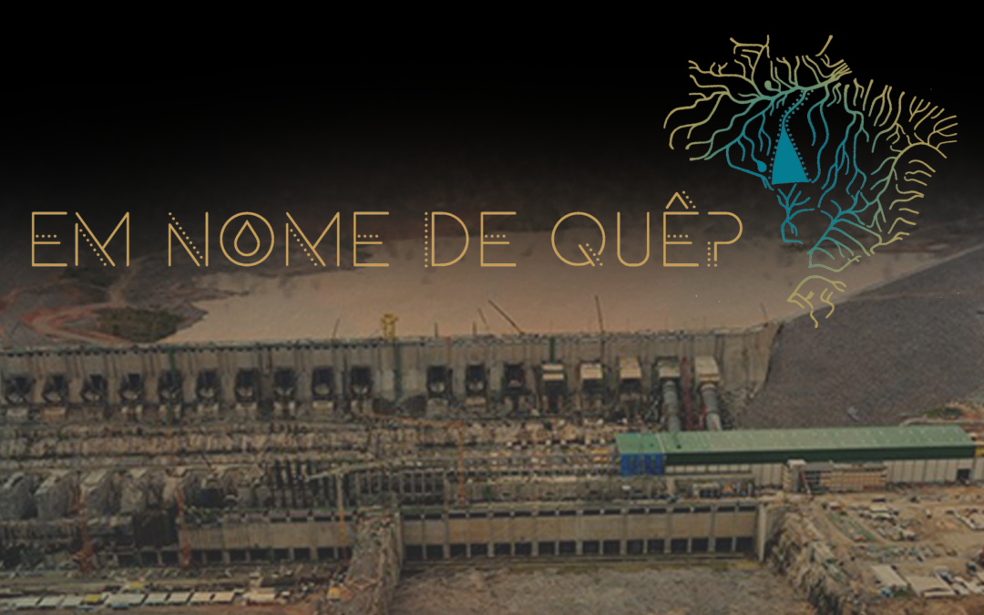 Os rios são artérias do planeta