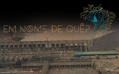 Os rios são artérias do planeta