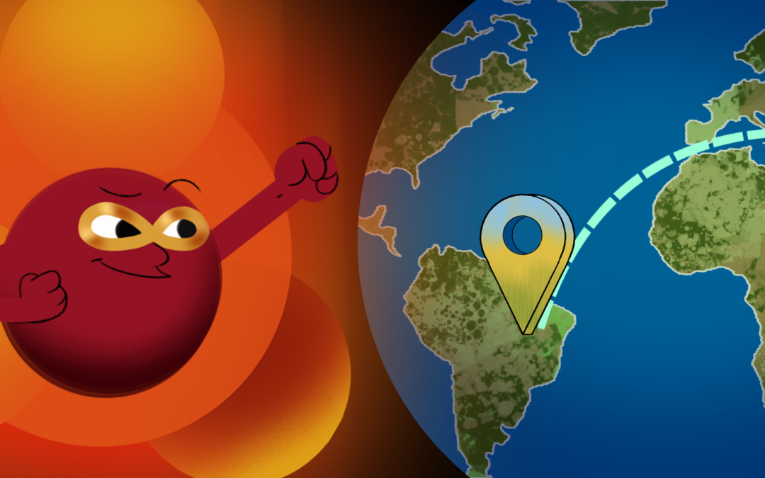 Entre COP 30 e a COP 31, como avançar para reduzir o metano?