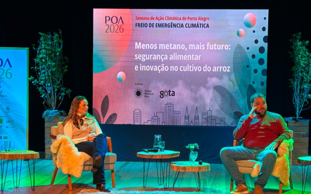 O arroz e a crise climática