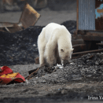 Mudanças Climáticas