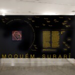 Vista da entrada da mostra no MAM-SP. Foto: Karina Bacci